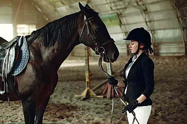 Eşsiz Doğa Deneyimi: At İle Doğa Turuna Hazır mısınız?