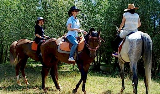 At Binmenin Faydaları